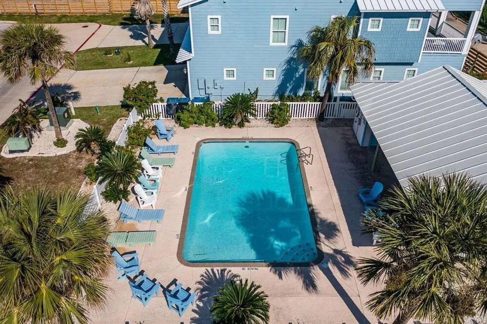 Dolphin Paradise