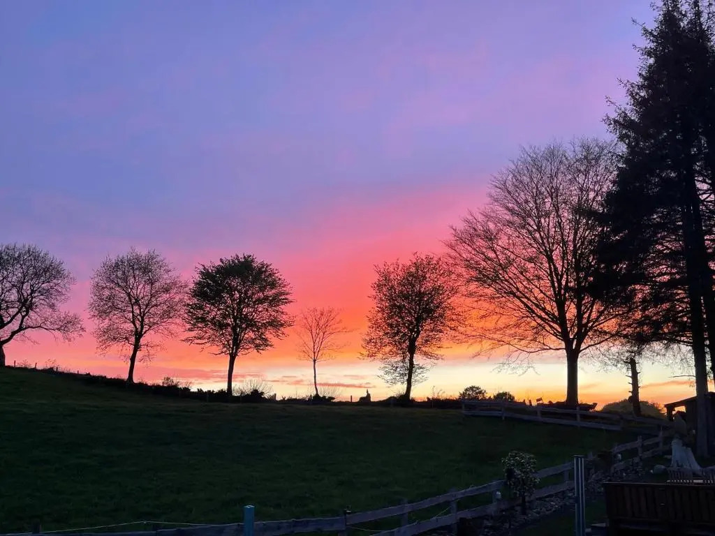 Wilsterberg