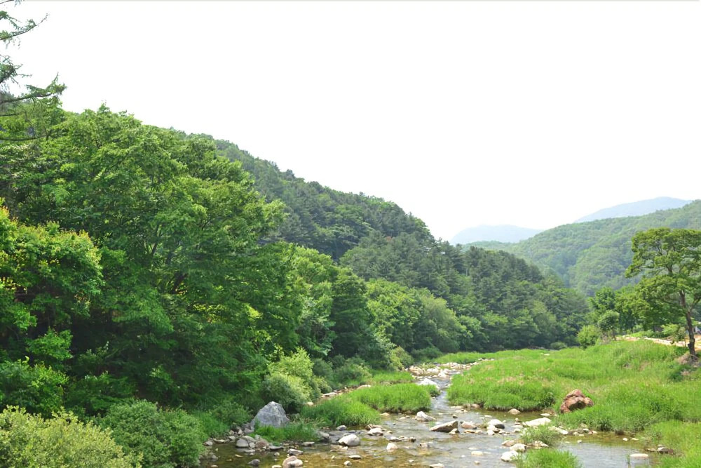 Yangpyeong Lodge House Pension (Pets Friendly)