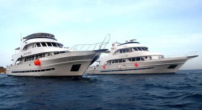 Carlton Fleet