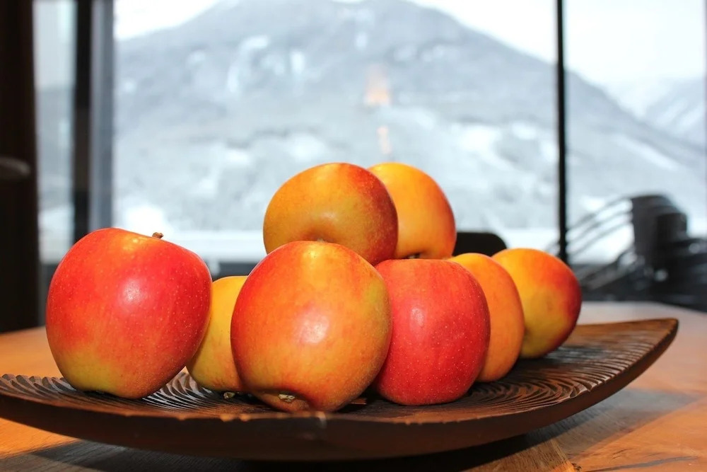 Absolut Alpine Apartments - Apartment am Sonnenhang