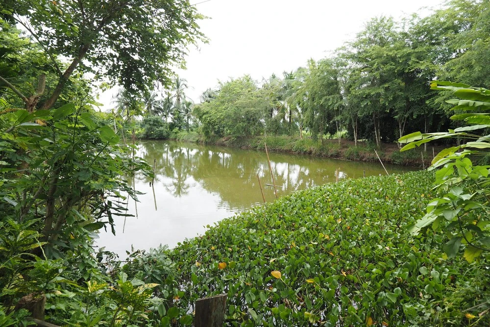 Ton Lang Homestay