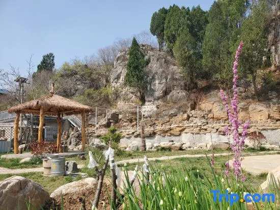 Jinan rustic primitive village residence