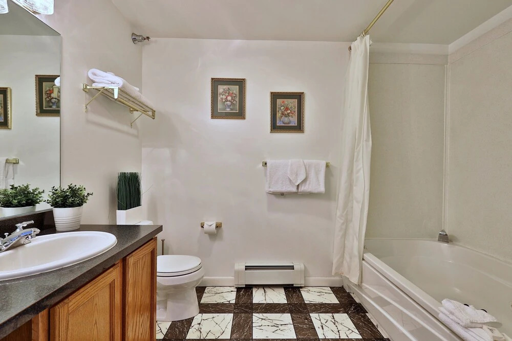 The Birch Ridge: Family Room #11 - Queen/bunkbed Suite In Killington, Vermont 1 Bedroom Home