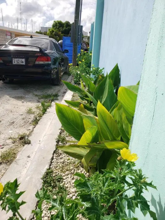 Apartamentos Elohim 2