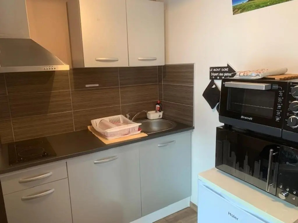 Appartement Mont-Dore, 2 pièces, 3 personnes - FR-1-415-105