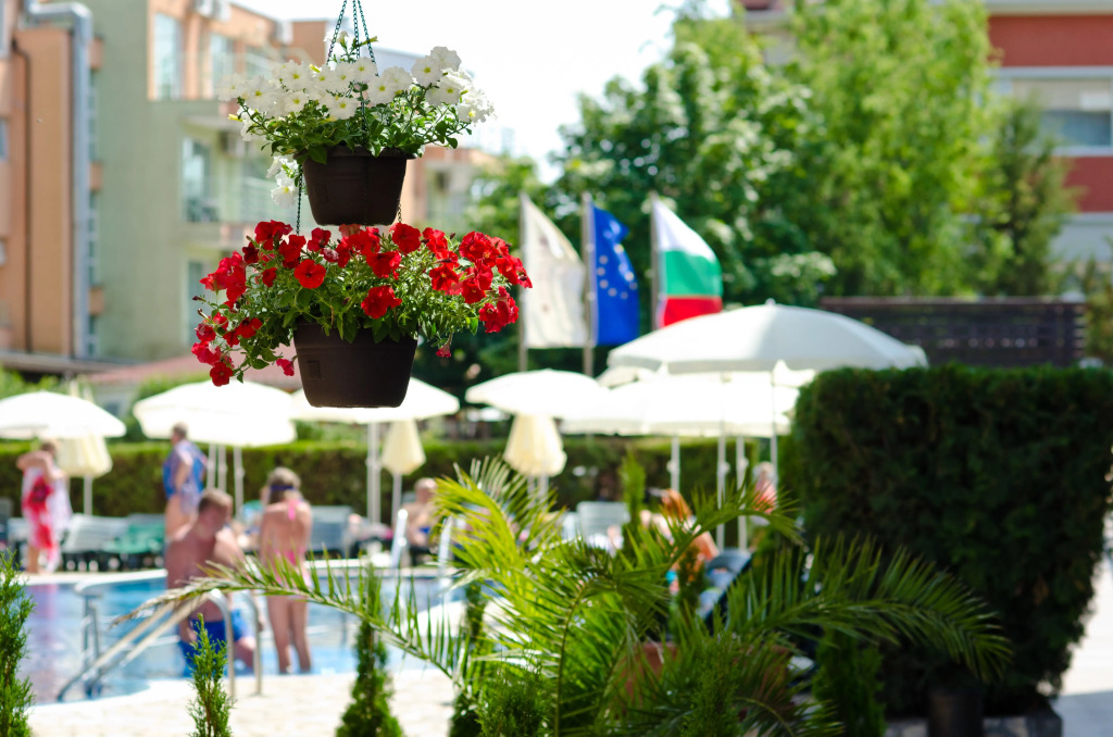 Lion Sunny Beach Hotel