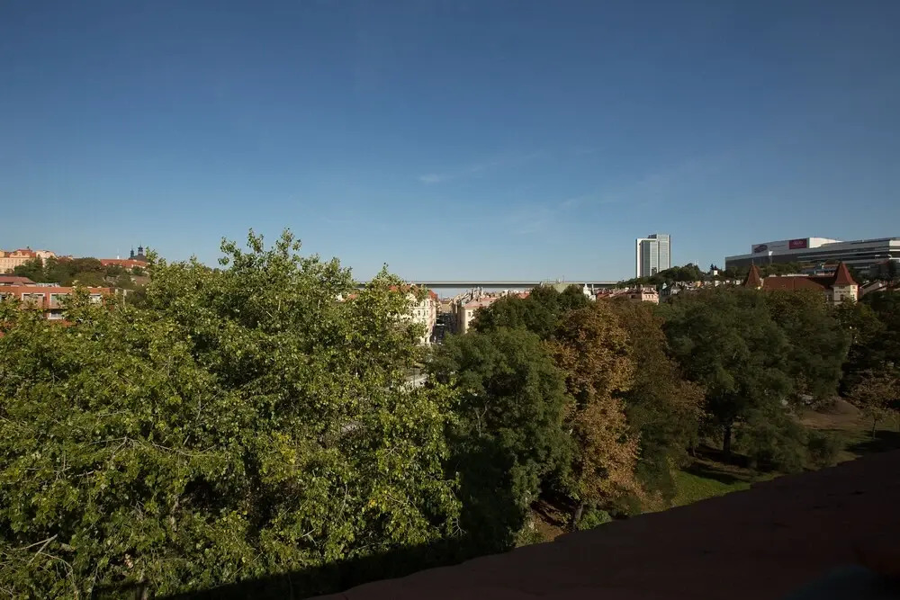 Premier Apartment Vysehrad