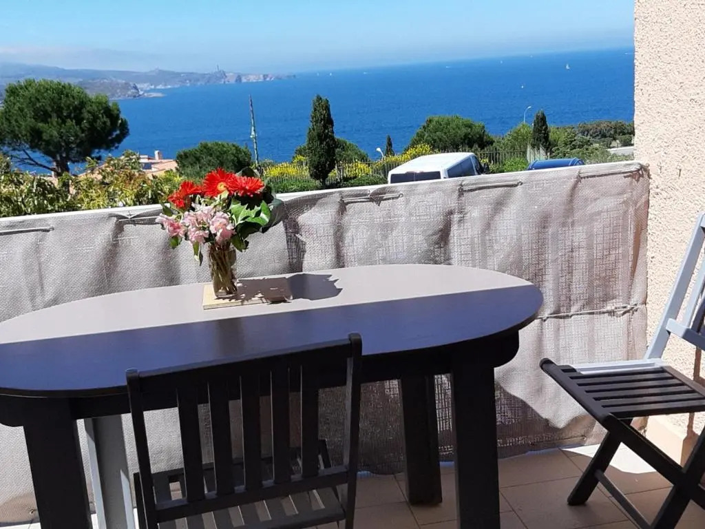 Appartement Banyuls-sur-Mer, 1 pièce, 4 personnes - FR-1-309-90