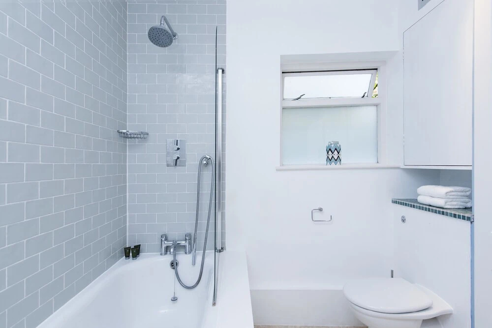 Spacious 1BR Garden Flat in Brixton