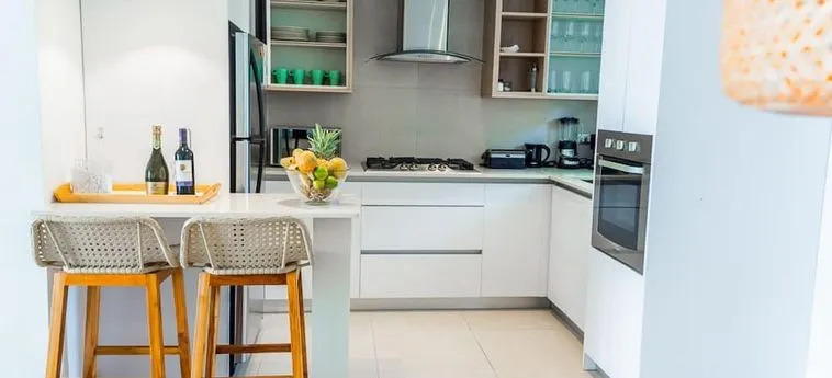 Luxury 2 BR Penthouse With Private Rooftop Picuzzi