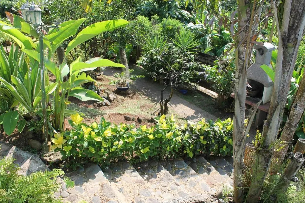 Paradise Lodge karibbean