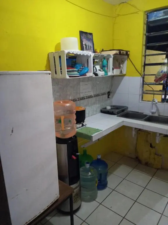 Hostel Monkey