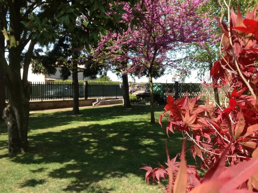 B&B Acero Rosso
