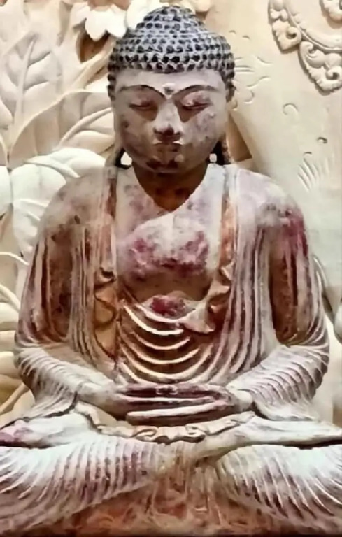 The Zarafa