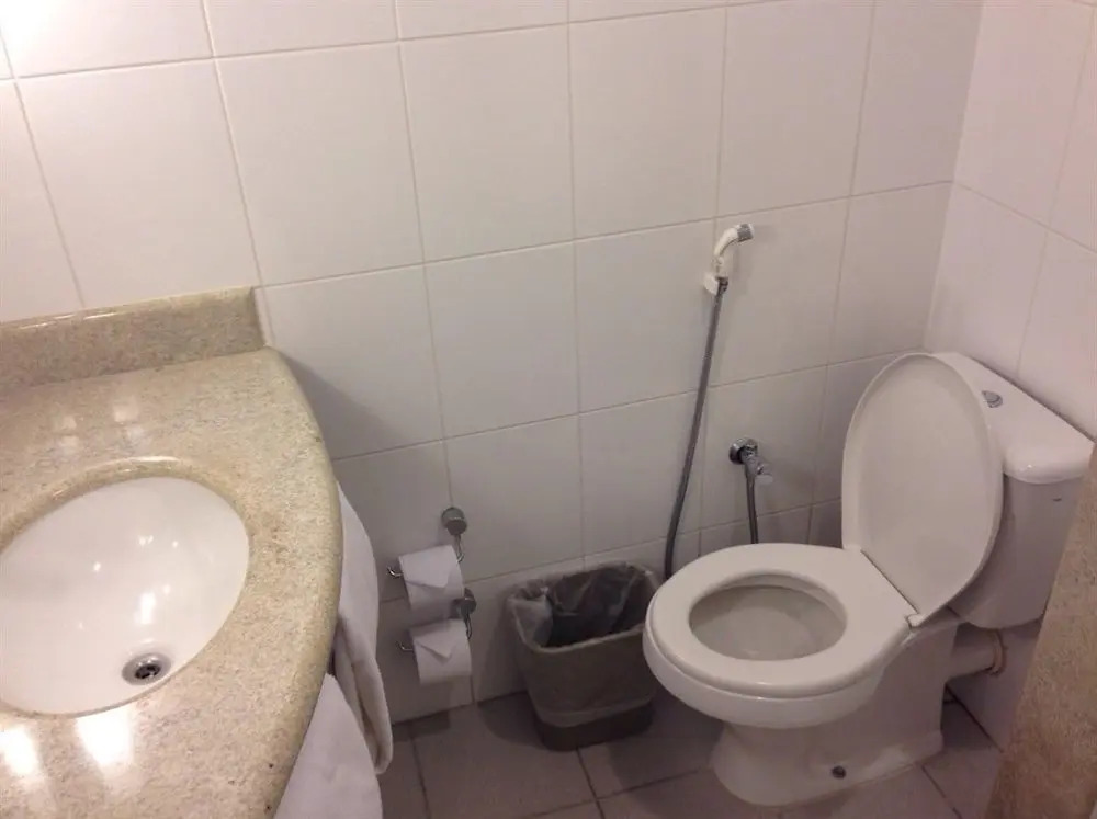 ibis Lins