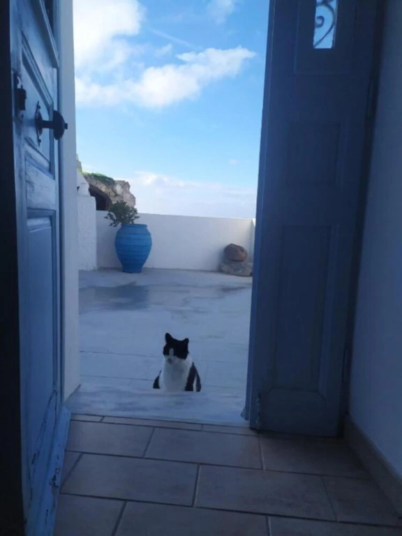 Melpomeni's cycladic house with terrace