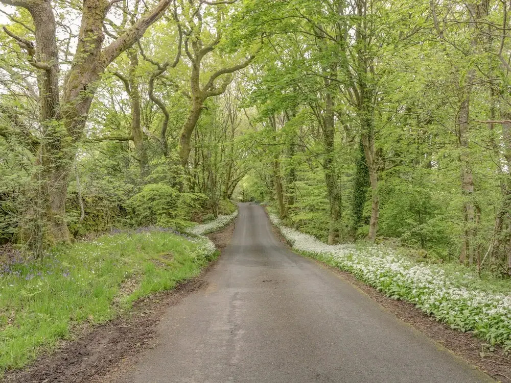 21 Entry Lane