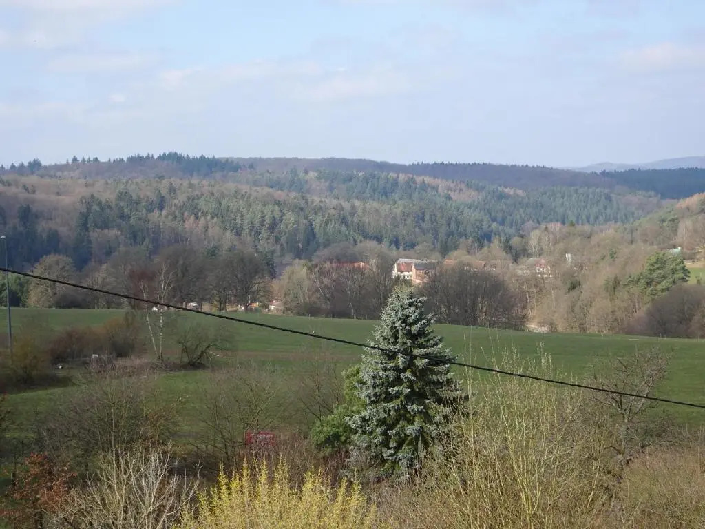 Hotel-Pension Schlossgarten