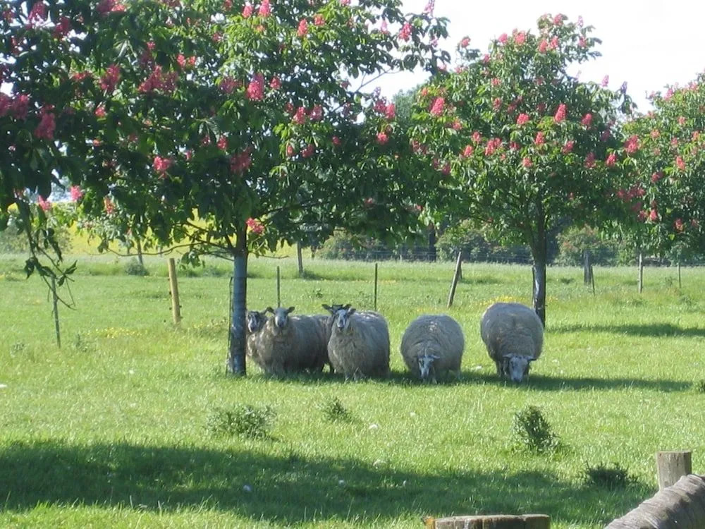 The Greenway at Knaptoft House Farm