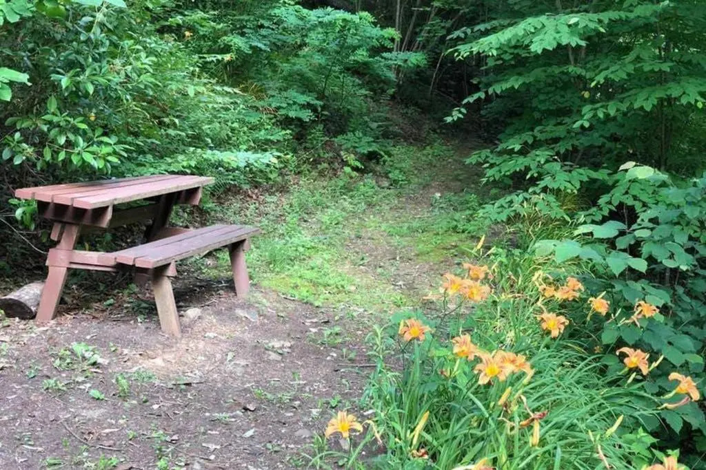 Private Fishing Pond - 10 Minutes to Downtown