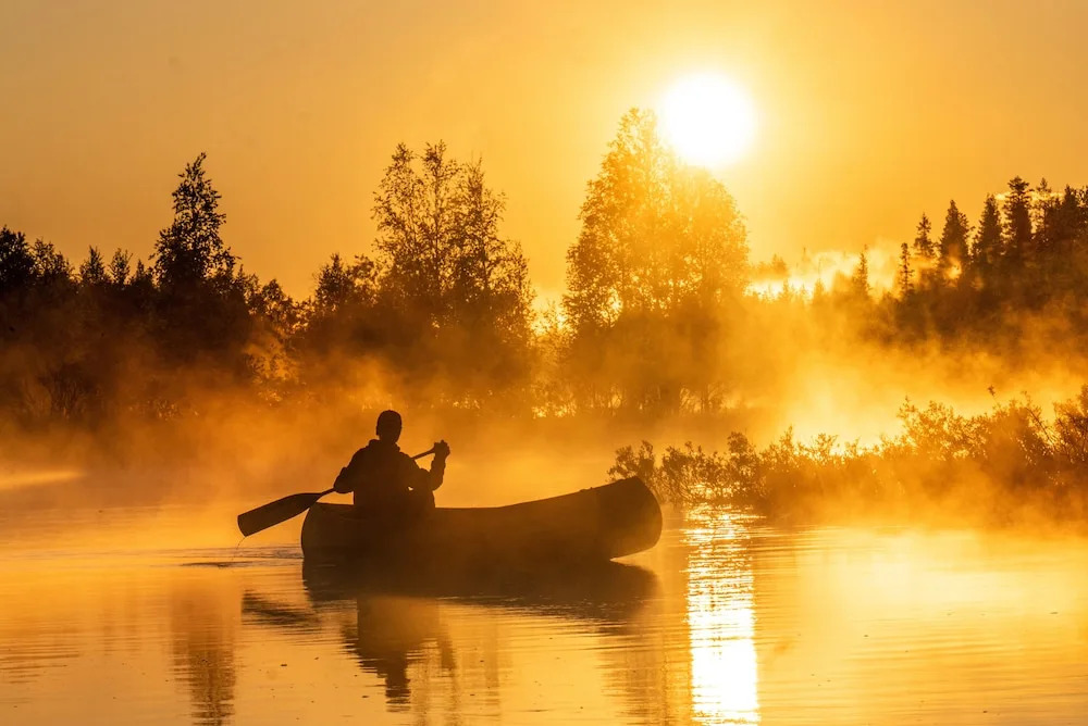 Metsä Kolo