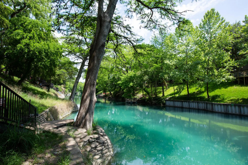 The Iron Cactus Condo on the Comal CW C102