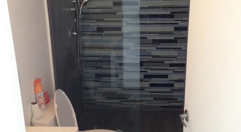 Elisa Condo
