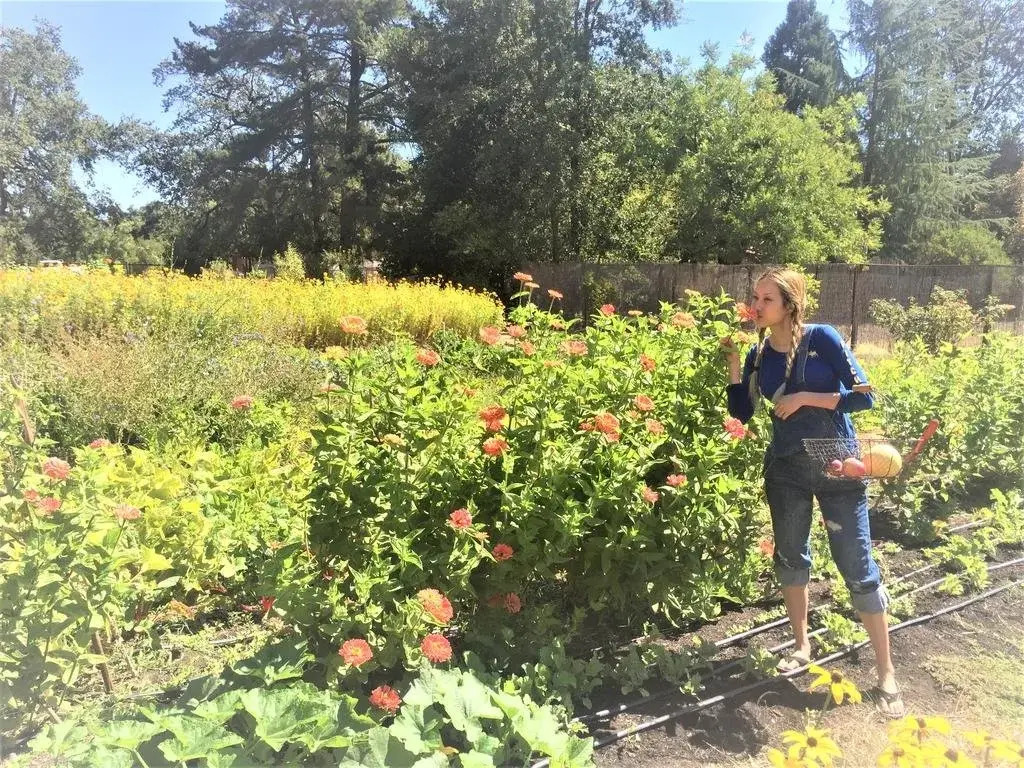 Napa Farmhouse Inn