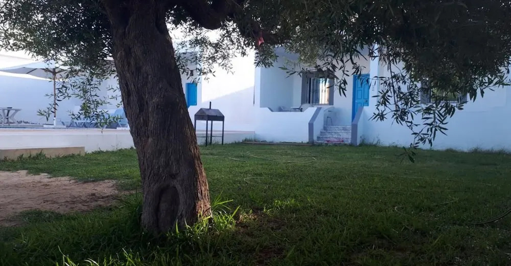 Dar Aesha
