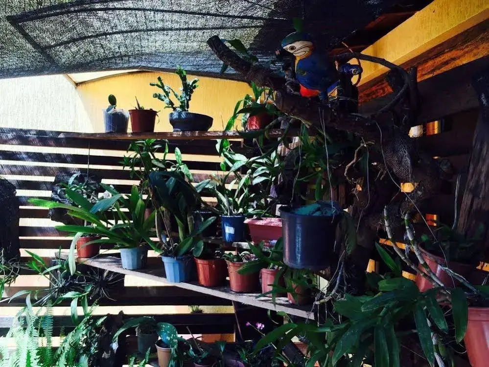 Pousada Oasis