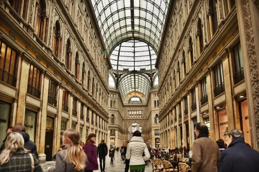 Napolart