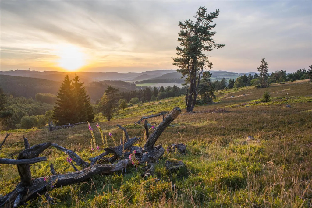 Mountain View Hotel Willingen, BW Signature Collection