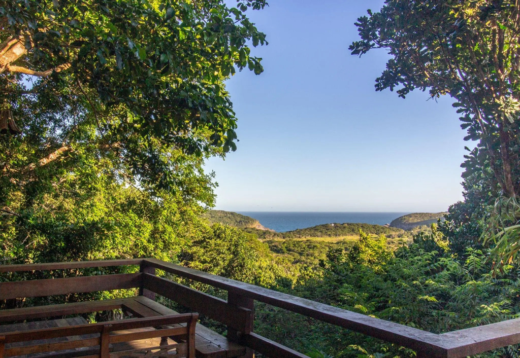 Contato com a Natureza, Vista para o Oceano e Seis Quartos Por Luxury Rentals