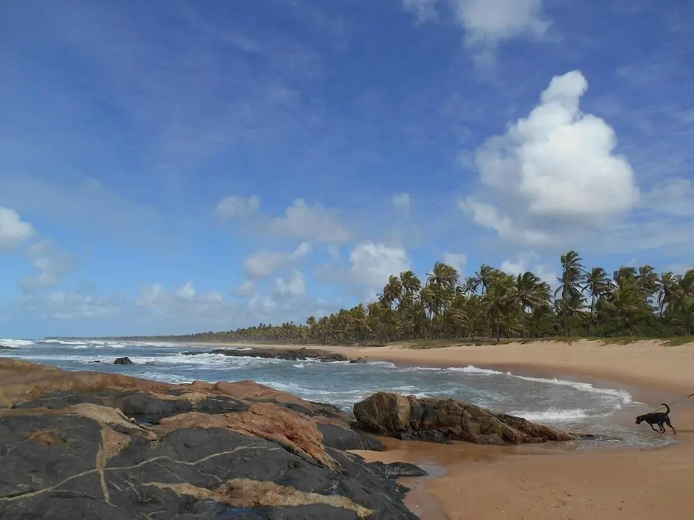Pousada Araçás Village