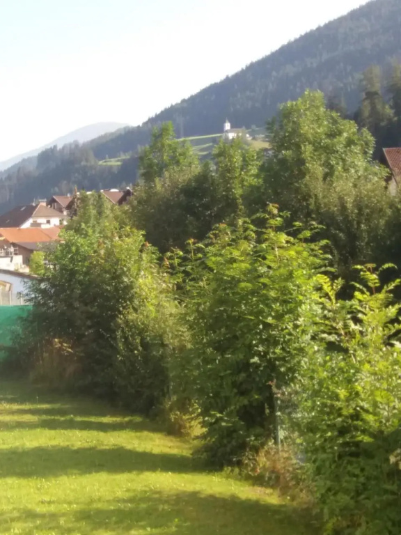 Ferienwohnung "Die 14"