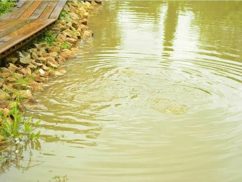 The Vareeya Resort