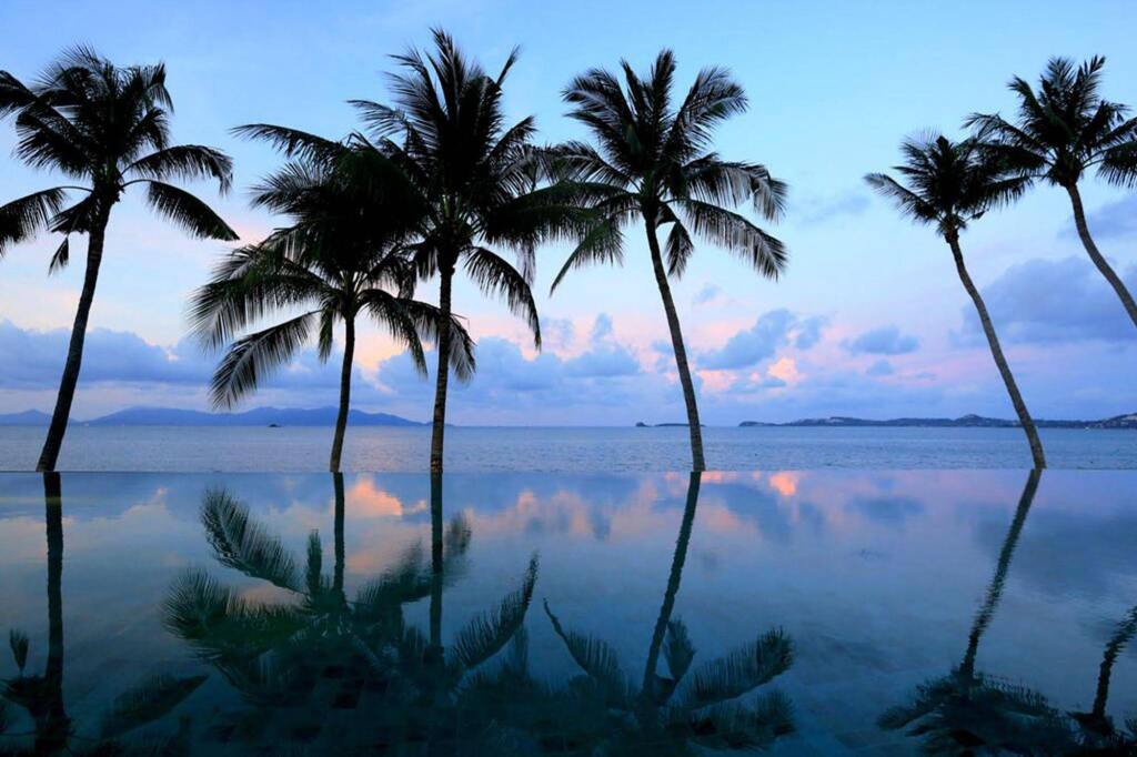 Celes Samui