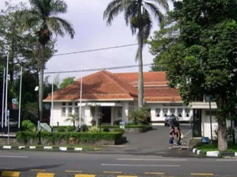 Royal Dago