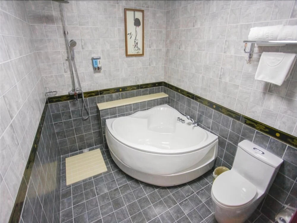GreenTree Inn Shanghai Songjiang Dongjing Tongle Road Happy Valley Bus