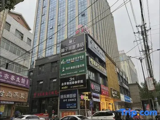 Luxury Hotels in Dumplings