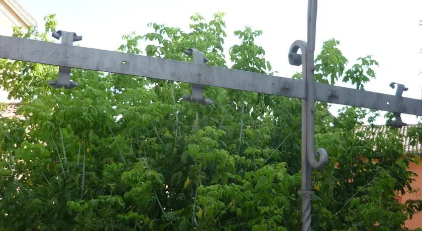 Il Giardino Segreto