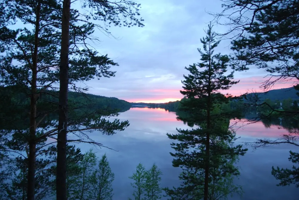 Granö Beckasin