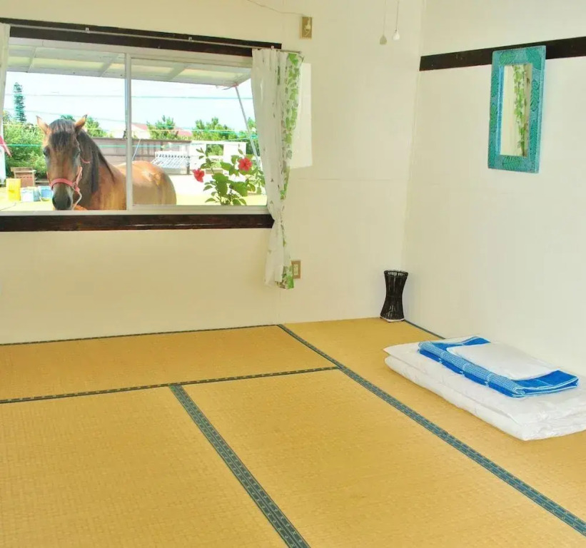 Iriomotejima Monsoon - Hostel