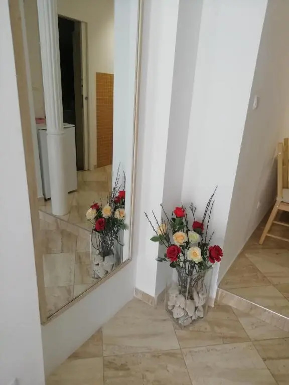 Studio Rose