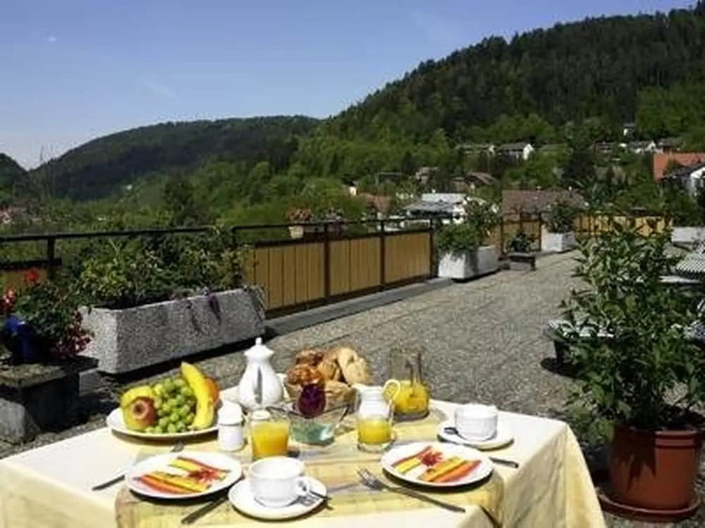 Hotel am Bad-Wald
