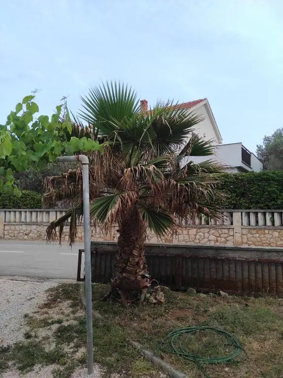 Apartments Malina