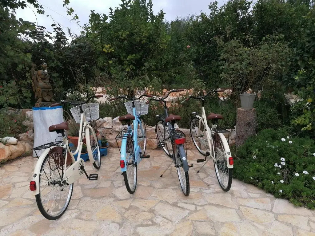 B&B Oceano