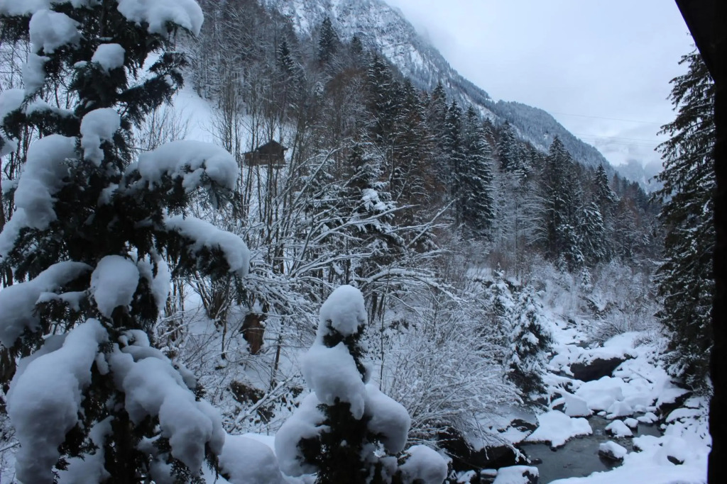 Chalet Burglauenen Grindelwald
