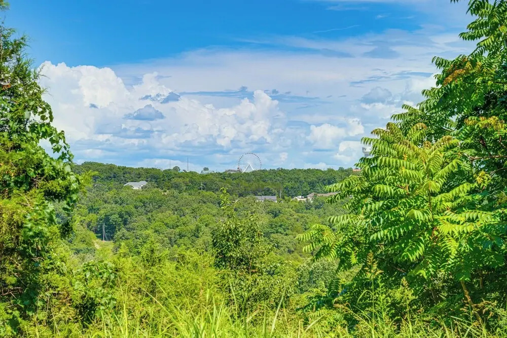 'groovy Games Getaway' Holiday Stay in Branson!